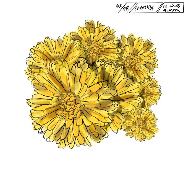 CALENDULA / DIGITAL&nbsp;INK