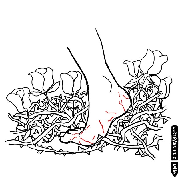 THORNS & THISTLES / DIGITAL&nbsp;INK