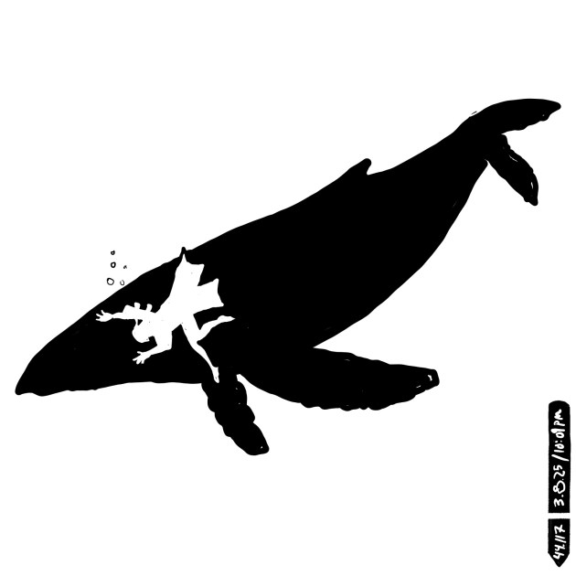 GRACIE / DIGITAL&nbsp;INK